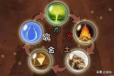 水火土|「万物类象」金、水、木、火、土五行取象